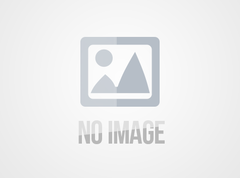 systems cannot recognize touch screens